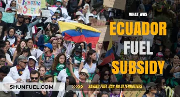 Exploring Ecuador's Fuel Subsidy: A Comprehensive Overview
