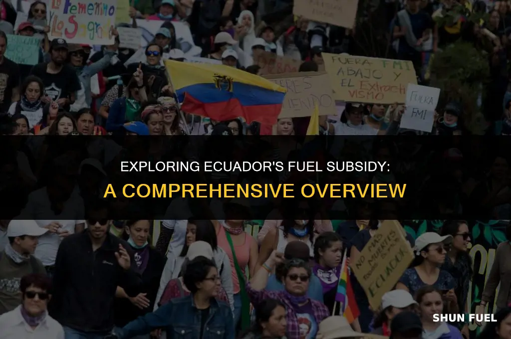 what was ecuador fuel subsidy