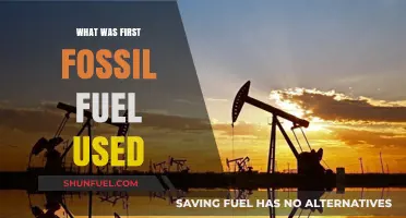 The Origins of Energy: Uncovering the First Fossil Fuel Utilized