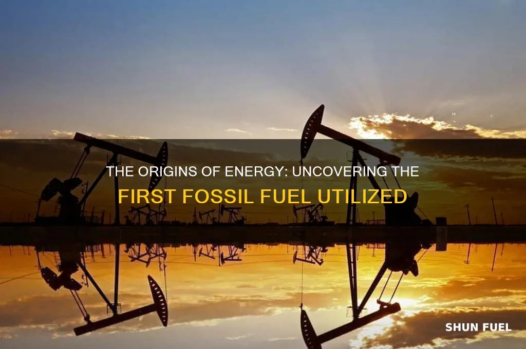 what was first fossil fuel used