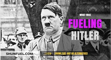 Unraveling the Complex Motivations Behind Hitler's Rise to Power