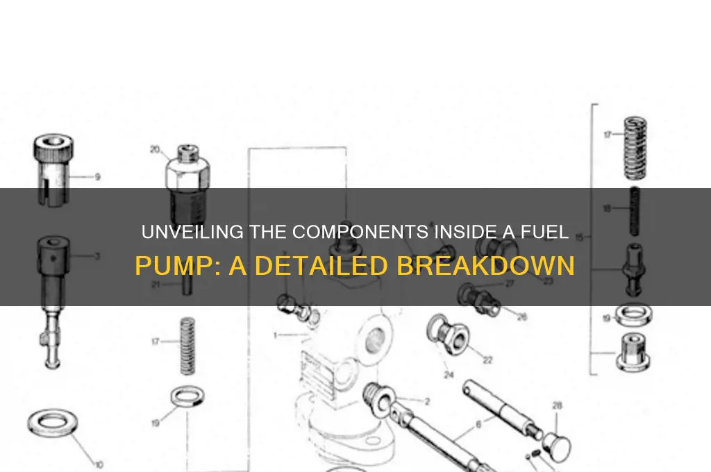 what was in fuel pump