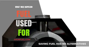 Napolini Fuel: Uncovering Its Historical Uses and Significance