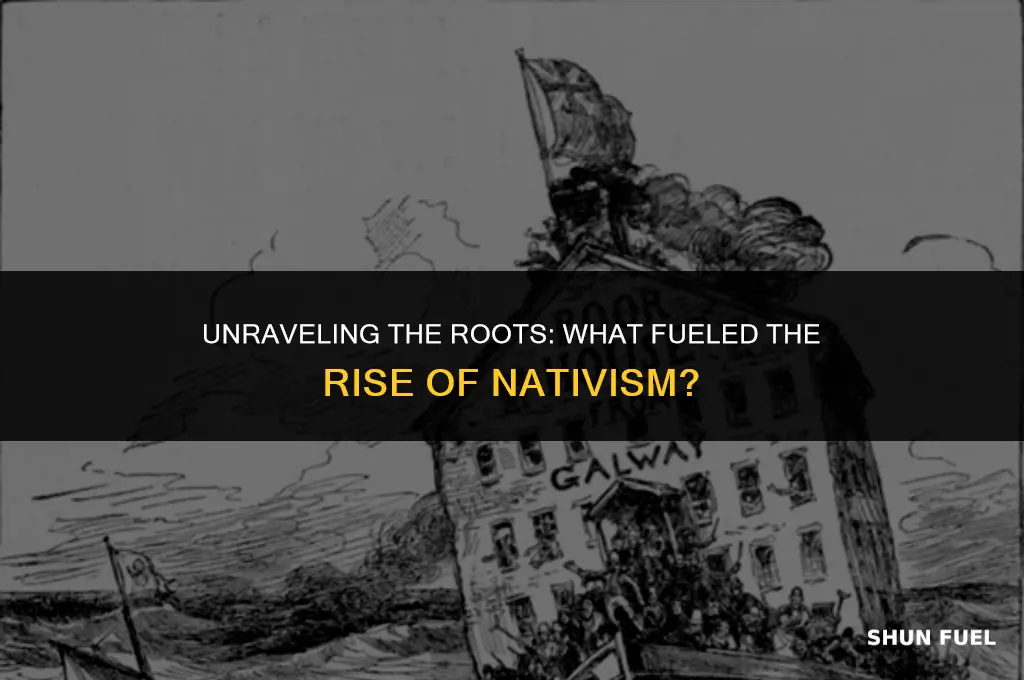 what was nativism fueled by