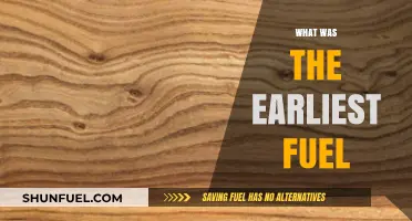 Exploring the Origins: What Fueled the Earliest Civilizations?