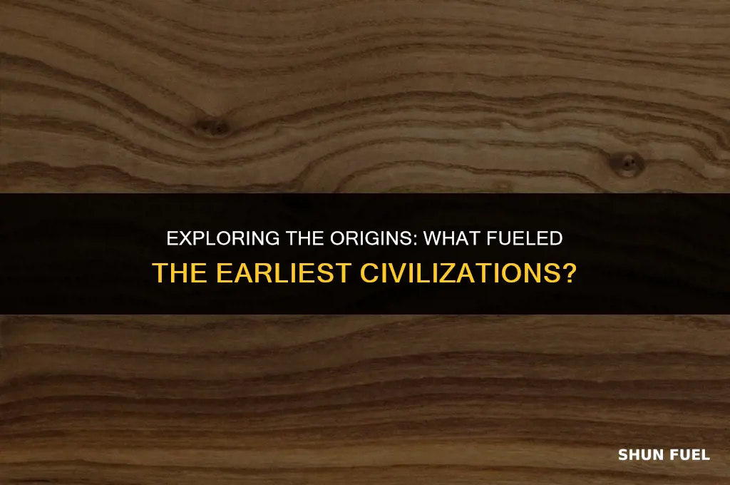 what was the earliest fuel