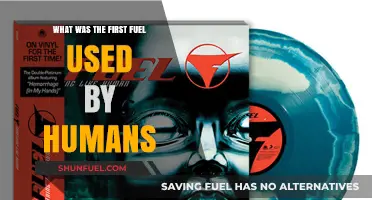 The Dawn of Energy: Humanity's First Fuel Source Unveiled