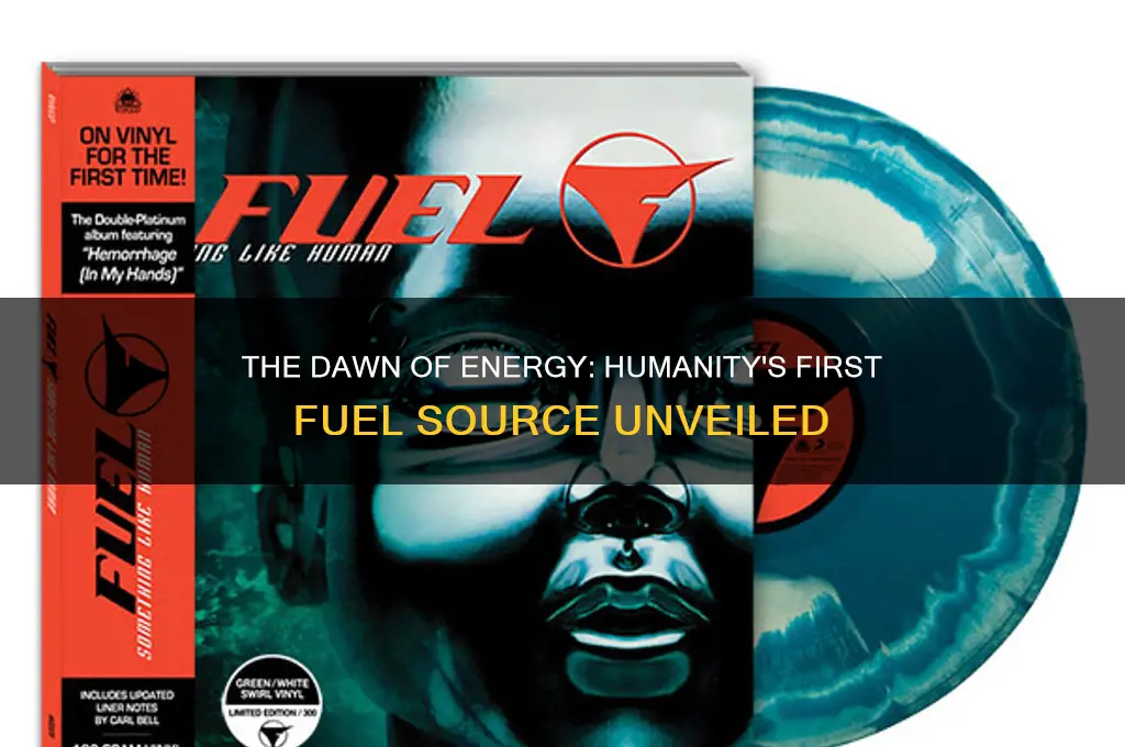 what was the first fuel used by humans