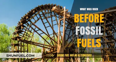 Before Fossil Fuels: Exploring Ancient Energy Sources and Human Innovation