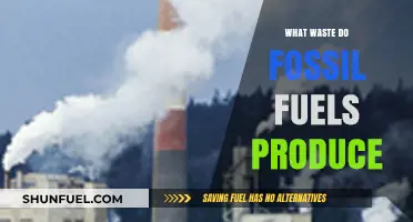 Fossil Fuels' Hidden Cost: Uncovering the Devastating Waste They Produce
