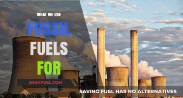 Fossil Fuels: Powering Industries, Transportation, and Daily Life Explained
