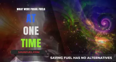 From Ancient Life to Energy: The Origins of Fossil Fuels