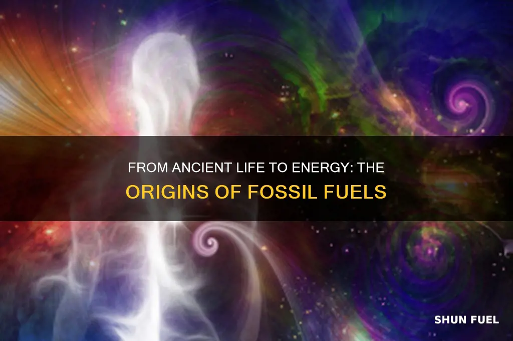 what were fossil fuels at one time
