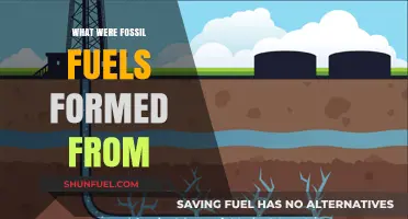 Unveiling the Ancient Origins of Fossil Fuels: A Journey Through Time