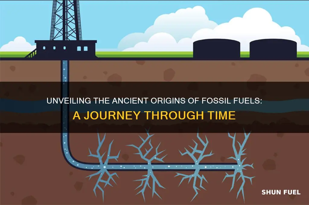 what were fossil fuels formed from