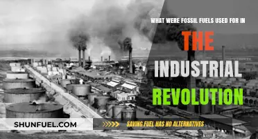 Fossil Fuels: Powering the Industrial Revolution's Transformation and Growth