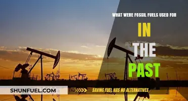 Historical Uses of Fossil Fuels: Powering the Past