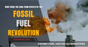 Fossil Fuel Revolution: Unraveling Its Lasting Impact on Society and Environment