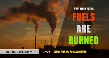 Burning Fossil Fuels: Environmental Impacts and Consequences Explained