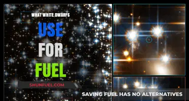 White Dwarfs' Fuel Source: Unraveling the Mystery of Their Energy