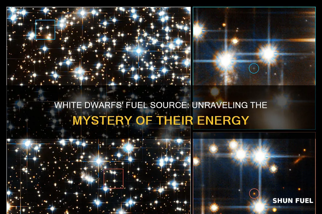 what white dwarfs use for fuel