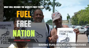 Pioneering Green Energy: Which Nation Will Ditch Fossil Fuels First?