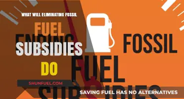 Ending Fossil Fuel Subsidies: Economic, Environmental, and Social Impacts Explored
