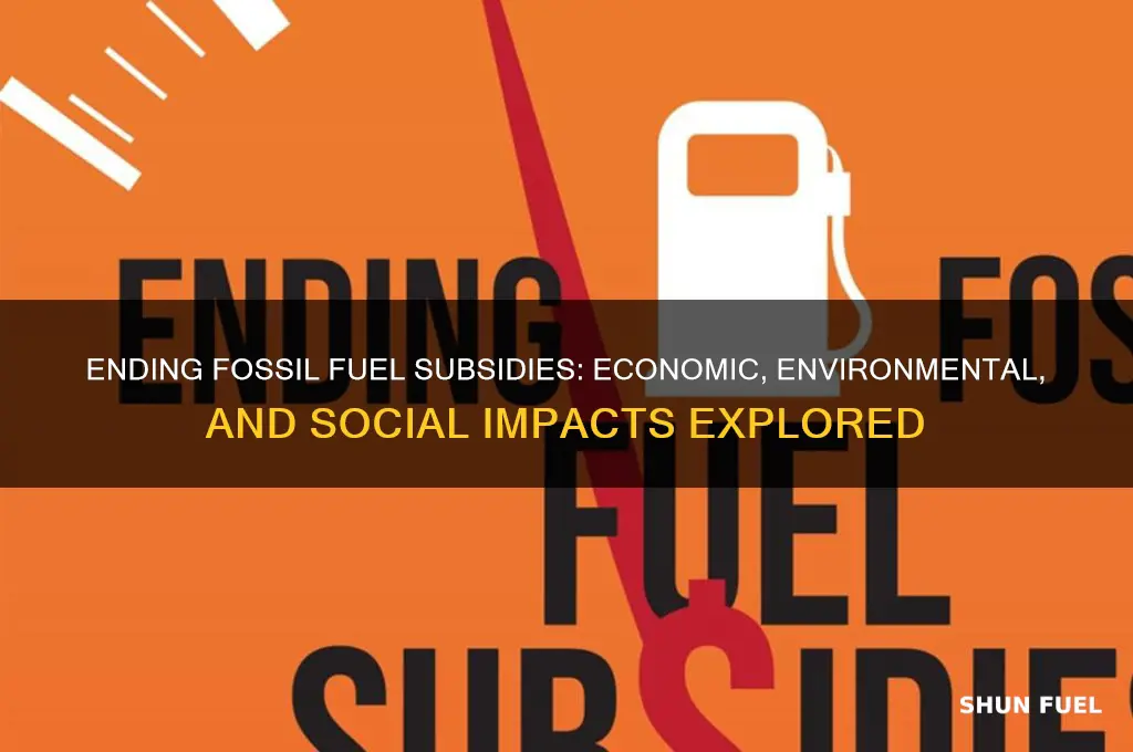 what will eliminating fossil fuel subsidies do