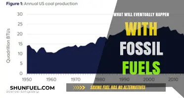 The Inevitable Decline: Fossil Fuels' Future and Global Energy Transition