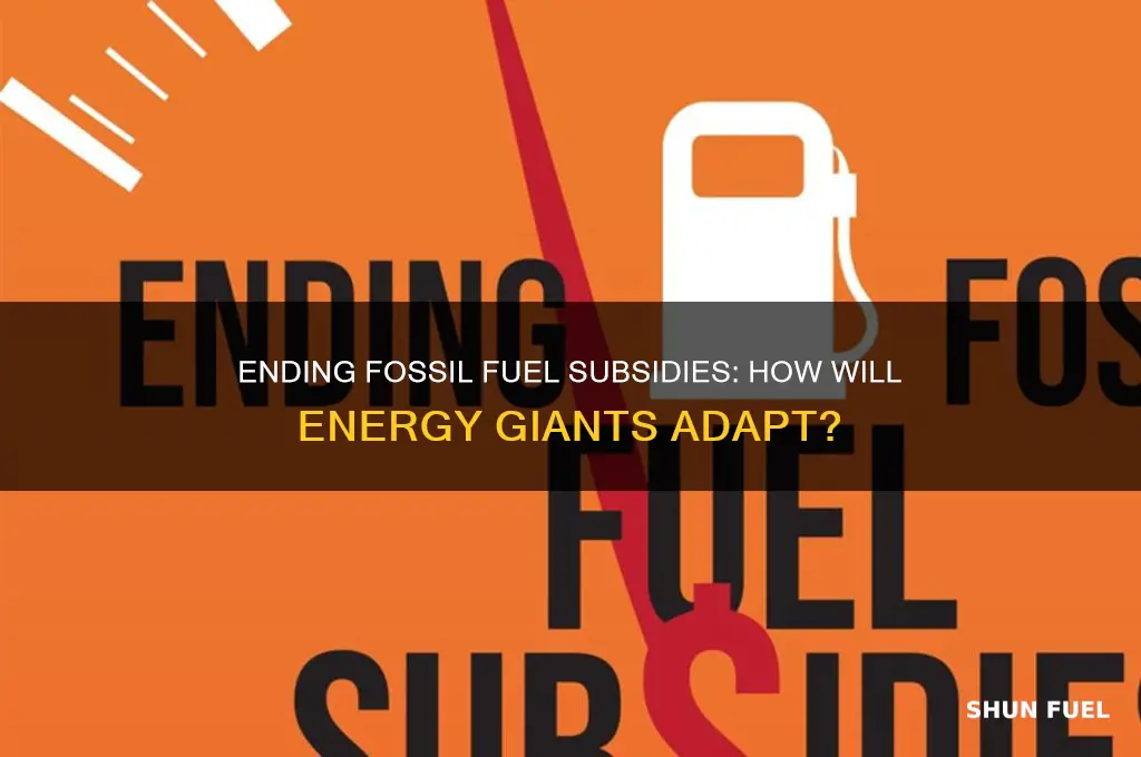 what will fossil fuels companies do without subsidies