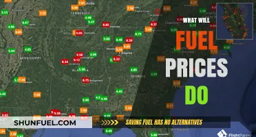 Navigating the Future of Fuel Prices: Trends and Predictions Unveiled