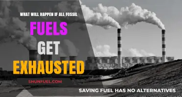 Fossil Fuels Exhausted: A World Without Oil, Gas, and Coal
