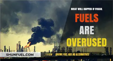 Overusing Fossil Fuels: Consequences for Climate, Economy, and Future Generations