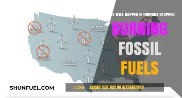 A World Without Fossil Fuels: Exploring the Aftermath of a Shift