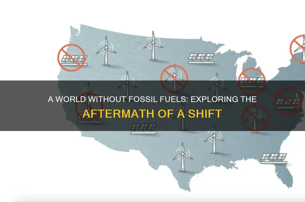 what will happen if humans stopped burning fossil fuels