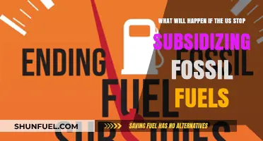 Ending US Fossil Fuel Subsidies: Economic, Environmental, and Global Impacts