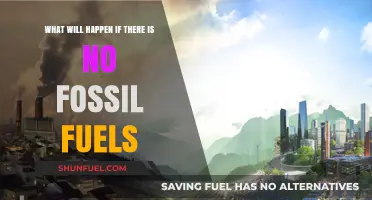 A World Without Fossil Fuels: Impacts, Challenges, and Alternatives