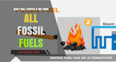 Burning All Fossil Fuels: Catastrophic Climate Consequences and Earth's Future