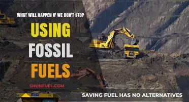 The Devastating Consequences of Ignoring Fossil Fuel Dependence