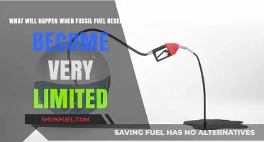The Impending Fossil Fuel Crisis: A World Without Reserves