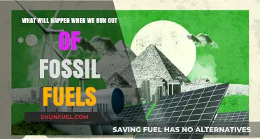 The World Post Fossil Fuels: A Future Without Oil
