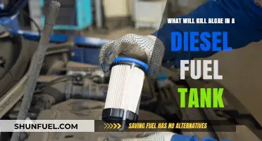 Eradicating Algae Growth in Diesel Fuel Tanks