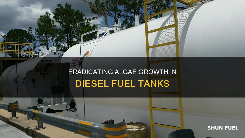 what will kill algae in a diesel fuel tank