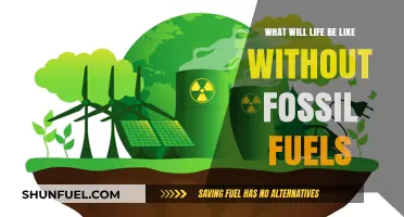 A World Without Fossil Fuels: Imagining a Sustainable Future