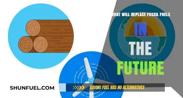 Sustainable Energy Transition: Future Alternatives to Fossil Fuels