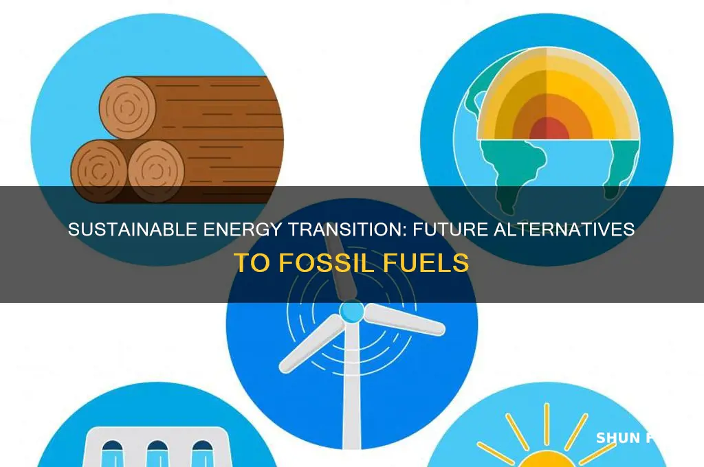 what will replace fossil fuels in the future