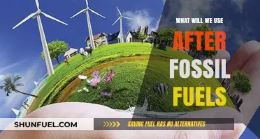 Beyond Fossil Fuels: Exploring Sustainable Energy Alternatives for a Greener Future