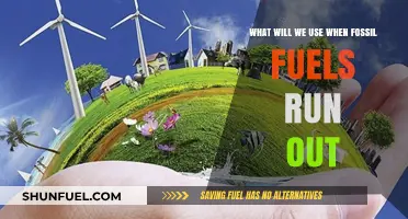 Beyond Fossil Fuels: Exploring Sustainable Energy Alternatives for a Greener Future