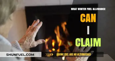 Maximize Your Winter Fuel Allowance: Eligibility and Claim Guide