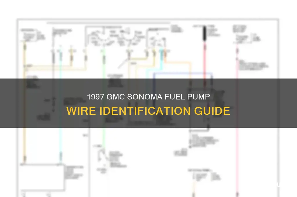 what wire is what on1997 gmc sonona fuel pump